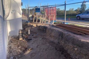 Hamlyn Terrance Project